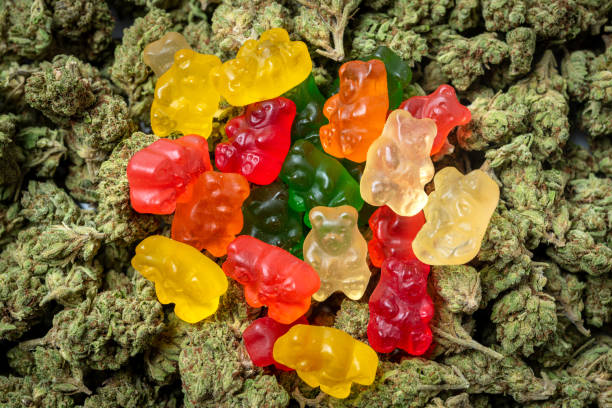 Why organic cbd gummies canada are becoming a popular choice